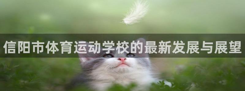 oety欧亿：信阳市体育运动学校的最新发展与展望