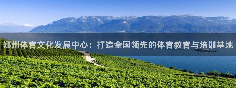 oety欧亿：郑州体育文化发展中心：打造全国领先的体育教育与培训基地