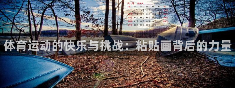 oety欧亿：体育运动的快乐与挑战：粘贴画背后的力量