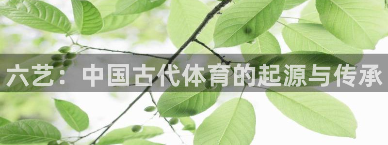 oety欧亿：六艺：中国古代体育的起源与传承