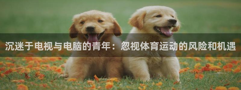 oety欧亿：沉迷于电视与电脑的青年：忽视体育运动的风险和机遇