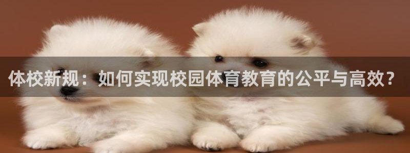 oety欧亿：体校新规：如何实现校园体育教育的公平与高效？