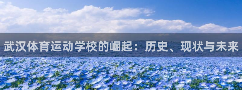 oety欧亿：武汉体育运动学校的崛起：历史、现状与未来