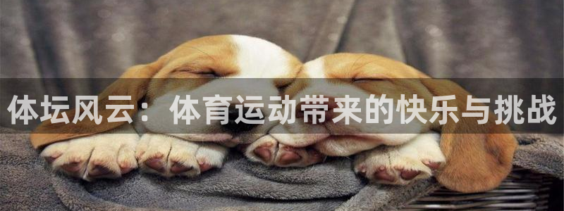 oety欧亿：体坛风云：体育运动带来的快乐与挑战