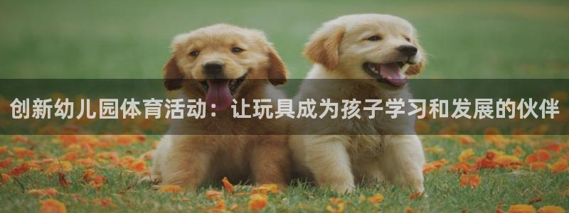 oety欧亿：创新幼儿园体育活动：让玩具成为孩子学习和发展的伙伴