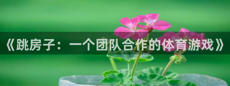 oety欧亿：《跳房子：一个团队合作的体育游戏》